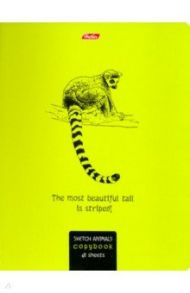 Тетрадь "Drawing animals" (48 листов, клетка, гребень) (48Т5В1гр)