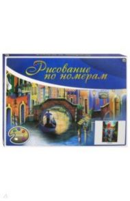 Холст 30х40 "Два разноцветных попугая" (Х-3391)