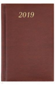 Ежедневник датированный на 2019 год, А6 "Iguana" коричневый (129001)