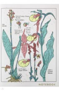 Тетрадь 30 листов, А4, клетка, кремовые страницы, Orchid (1100082)