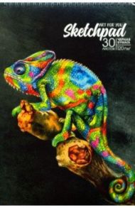 Скетчпад 30 листов, А4, гребень, ХАМЕЛЕОН (50080)