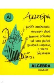 Тетрадь предметная "Яркая учеба. Алгебра" (48 листов, А5, клетка) (49555)