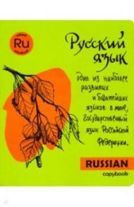 Тетрадь предметная "Яркая учеба. Русский язык" (48 листов, А5, линия) (49564)
