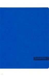 Дневник школьный Голубой, искусственная кожа (С2949-09)