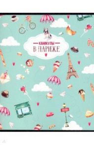 Тетрадь 48 листов "Cafe" бирюзовый (N1496)