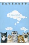 Блокнот "Милые котики" (40 листов, клетка, А7, гребень) (47964)