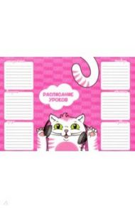Расписание уроков А4, КОТ МЕЛОМАН (49968)