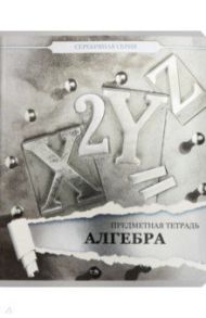 Тетрадь предметная "Серебряная. Алгебра" (27242)