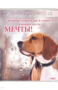 Тетрадь 48 листов "МОТИВАЦИЯ" (48-2938)