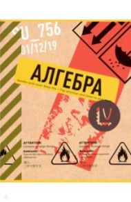 Тетрадь предметная. Box. Алгебра (N1736)