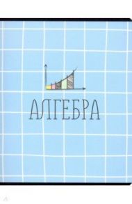 Тетрадь предметная "School. Алгебра" (N1728)