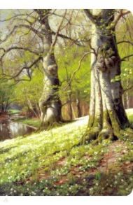 Тетрадь 40 листов, 15*21 см "Monsted" (N1606)
