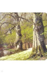 Блокнот 40 листов, 17*17 см, нелинованный "Monsted" (N1612)