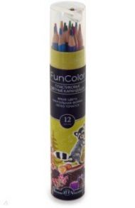 Карандаши цветные пластиковые 12 цветные "FUNCOLOR" 4 вида (30-0085)