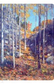 Тетрадь 48 листов, А4, Hassam (N1614)