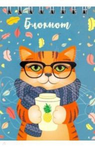 Блокнот 40 листов, А7, клетка, "Ученый кот" (50623)