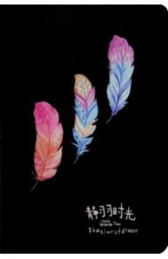 Блокнот 20 листов "FEATHER" черные страницы (M-3829)