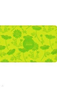 Еженедельник датированный на 2020 г Camomile (160х105 мм, 128 стр, салатовый) (I830emb/light-green)