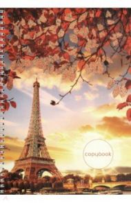 Тетрадь для конспектов "Романтика Парижа" (96 листов, А4, клетка, гребень) (ТСБ4964541)
