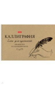 Тетрадь для каллиграфии, 30 листов, А4, Пишу красиво (30Тп4тВ5гр_22371)