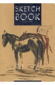 Sketchbook 60 листов, В5, крафт бумага "МИКС-1" 4 вида (3-583/01)