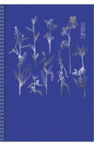 Тетрадь для конспектов "Total Blue. Дизайн 2" (48 листов, А4, линейка) (ТСЛФ4484554)