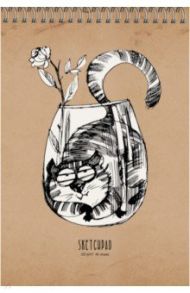 Скетчпад 40 листов, А5, спираль "Весенний кот" (СПСЛ54079)