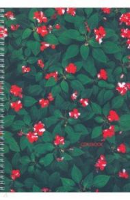 Тетрадь для конспектов "Красные цветочки" (96 листов, А4, клетка, спираль) (ТС4964544)