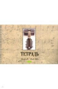 Тетрадь для нот 24 листа, спираль "Гитара" (24ТдН4Cсп_18983)
