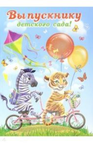 Папка адресная "Выпускнику детского сада. Зебра" (50023)