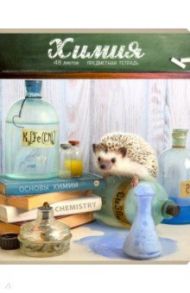 Тетрадь предметная "Тайная жизнь ежей. Химия" (28955)