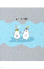 Тетрадь предметная Bunny (48 листов, А5, клетка) История (N2100)