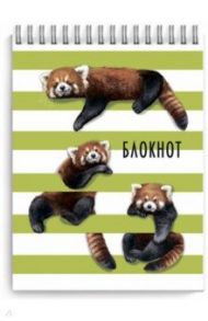 Блокнот "Красная панда" (120 листов, А6, клетка, гребень) (52221)