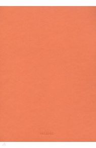 Блокнот "Terracotta" (60 листов, А5, нелинованный, с перфорацией) (529937)