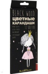 Карандаши цветные пластиковые, 12 цветов, 4 вида (30-0097)