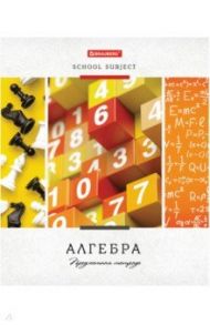 Тетрадь 48 листов "УЧЕНЬЕ СВЕТ АЛГЕБРА" (403526)