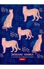 Записная книжка женщины "Leo print" (80 листов, А6, клетка) (80ЗКс6В5_23394)