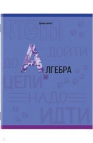 Комплект предметных тетрадей 10 штук, 36 листов "К знаниям" (404024)