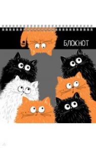 Блокнот 60 листов, 14х14 см, гребень, УДИВЛЁННЫЕ КОТЫ (57444)