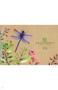 Альбом для рисования на гребне "Dragonfly", А4, 24 листа (А24сп_36052)