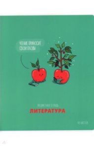 Тетрадь предметная "Маленькие детали. Литература", А5, 48 листов, линия (Тп48ТЛл_34963)