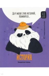 Тетрадь предметная "Clever Panda. История", А5, 48 листов, клетка (Тп48ВЛк_34975)