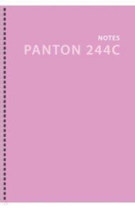 Тетради для конспектов на спирали "Monocolour. No 3", А4, 80 листов, клетка (ТС2Л4804832)