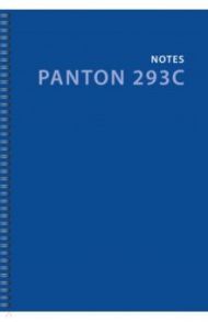 Тетради для конспектов "Monocolour. №5" (80 листов, А4, клетка, спираль) (ТС2Л4804834)