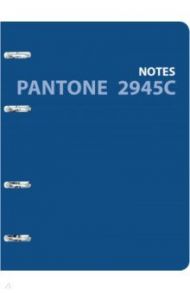 Тетрадь на кольцах (120 листов, А5, клетка), Pantone line 3 (ПБЛ1205005)