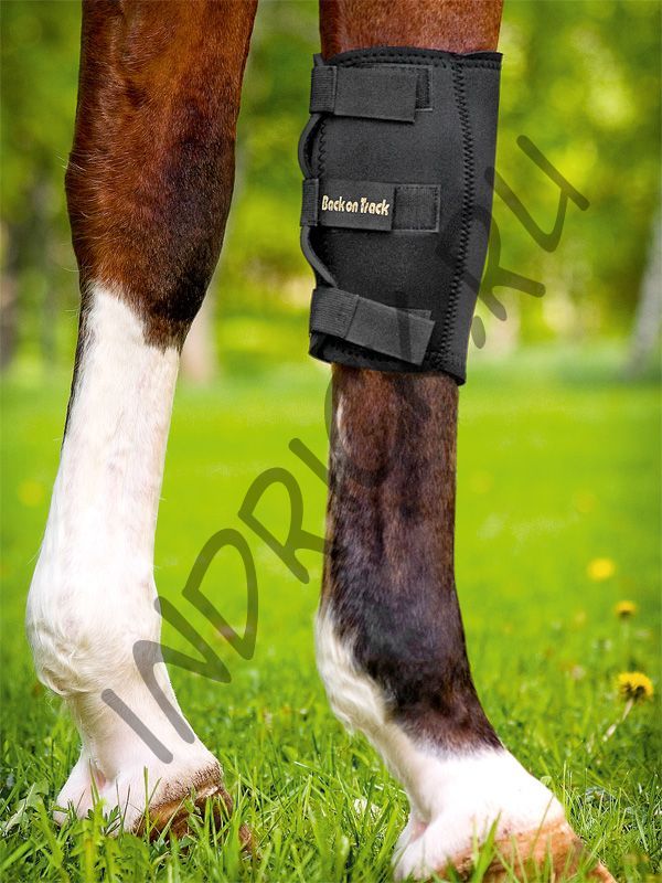 Бандаж Back on Track на запястный сустав лошади