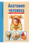 Анатомия человека / Афонькин Сергей Юрьевич