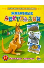 Животные Австралии (16 карточек)