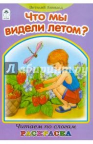 Что мы видели летом? / Лиходед Виталий Григорьевич