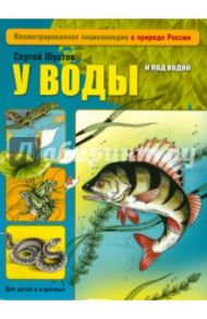 У воды и под водой / Шустов Сергей Борисович